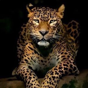 Meet your Posher, Tim